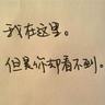 厦门宠物美容知识